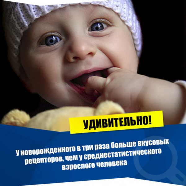 Интересные факты для детей