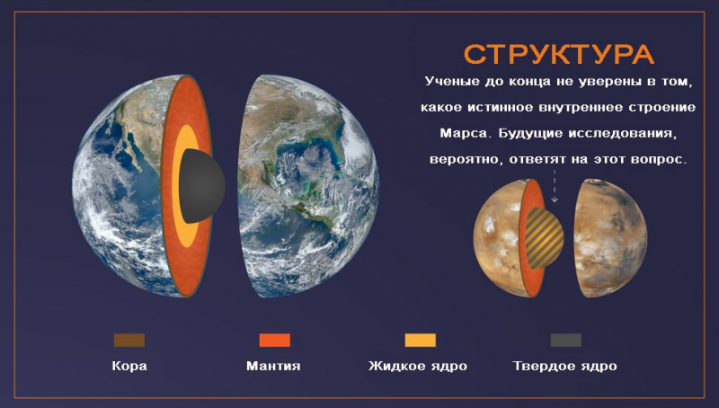 Интересные факты для детей