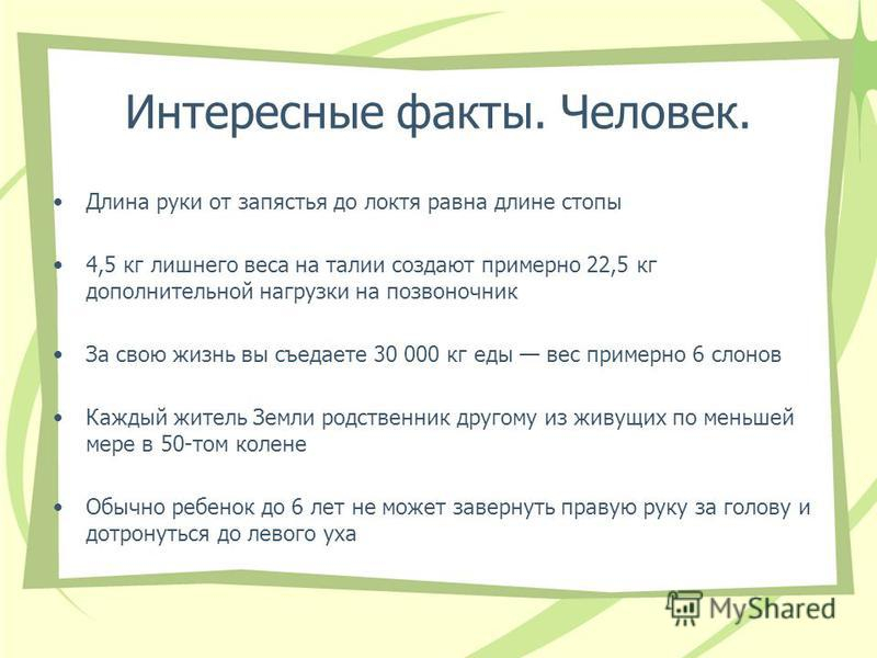 Интересные факты о работе