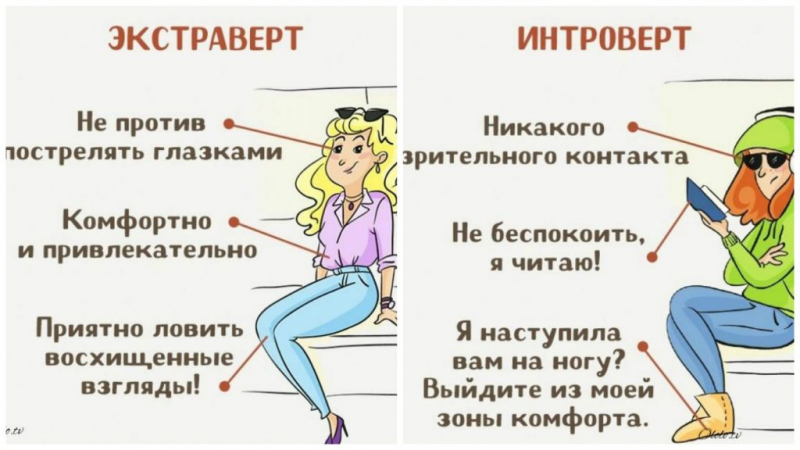 Интроверты и экстраверты – описание, примеры и тесты