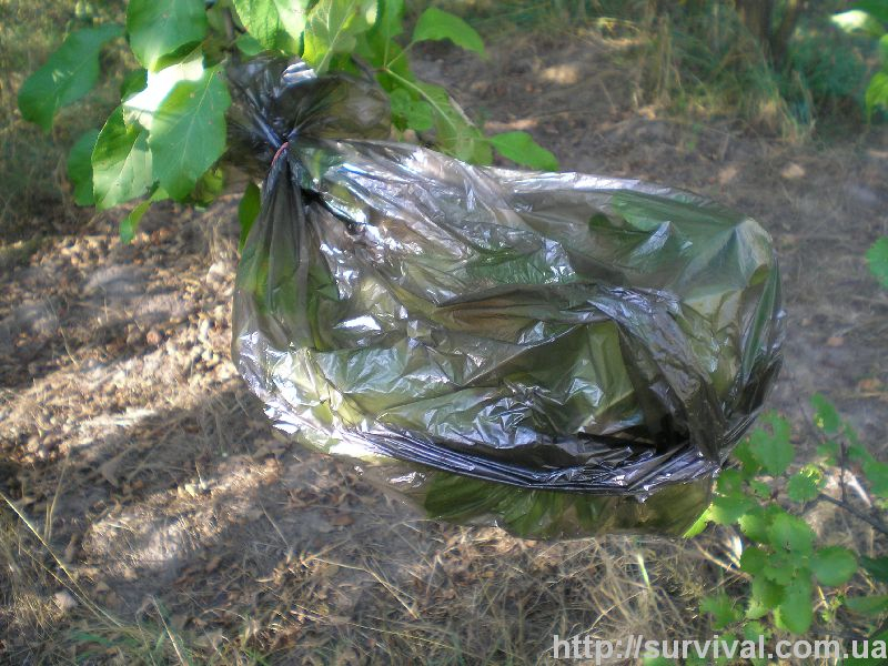 Как добыть воду в лесу