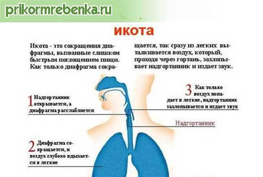 Как избавиться от икоты