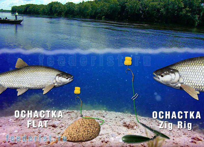 Как ловить белого амура на фидер