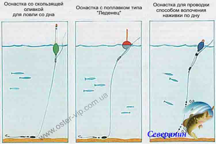 Как ловить карася на поплавочную удочку