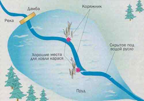 Как ловить карася зимой