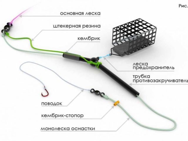 Как ловить карпа на фидер