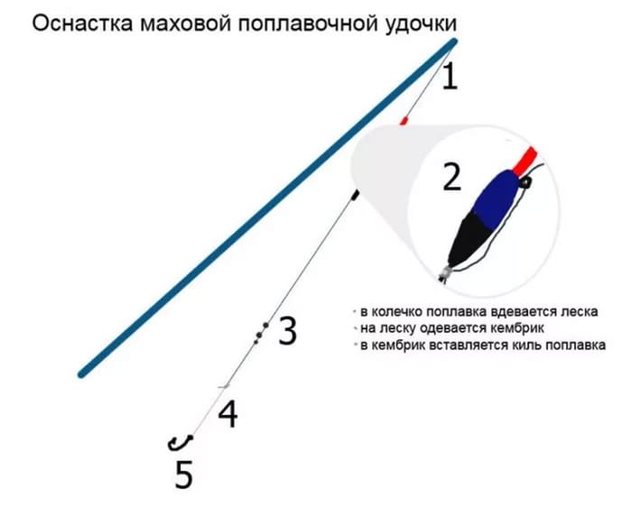 Как ловить карпа на поплавочную удочку