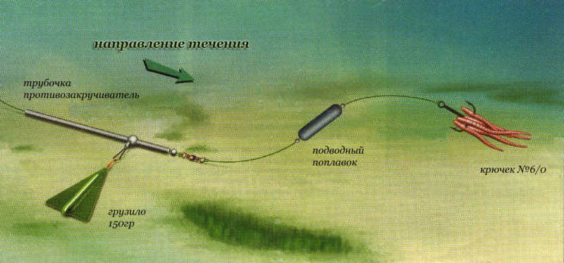 Как ловить леща на донку