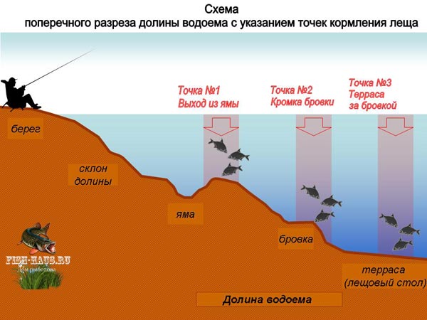 Как ловить леща в августе