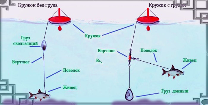 Как ловить щуку на кружки