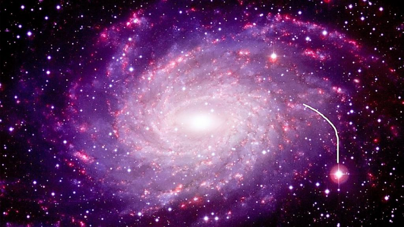 Как найти полярную звезду: основные советы и методы