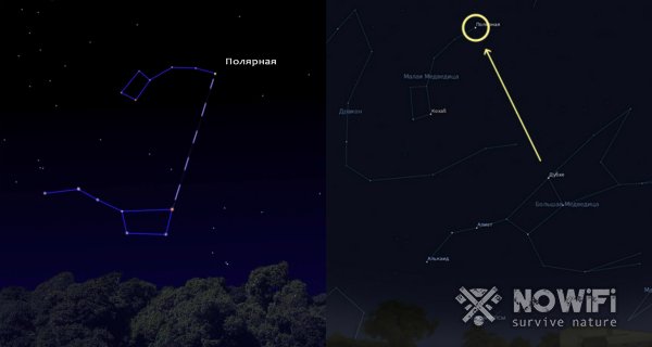 Как найти полярную звезду: основные советы и методы