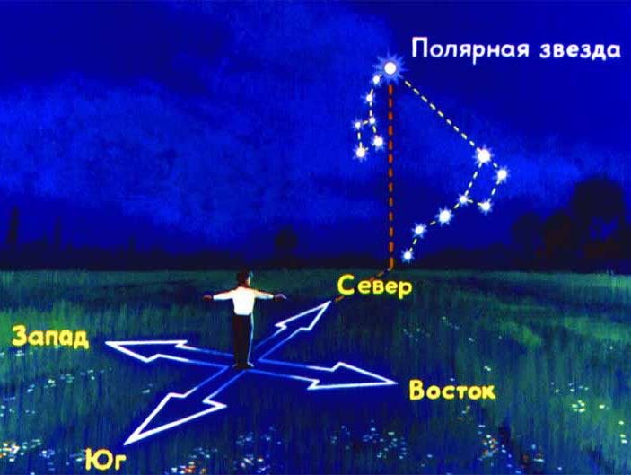 Как определить стороны света без компаса