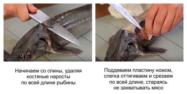 Как почистить стерлядь в домашних условиях