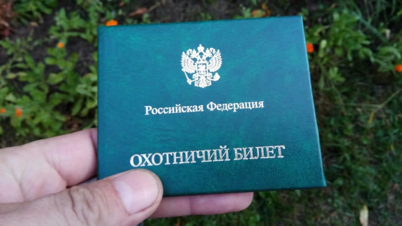 Как получить охотничий билет в россии