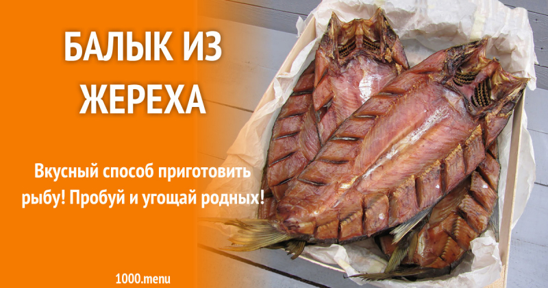 Как приготовить балык из жереха