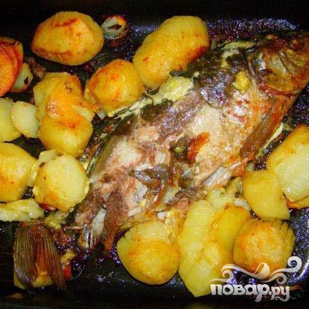 Как приготовить карпа в духовке с картошкой