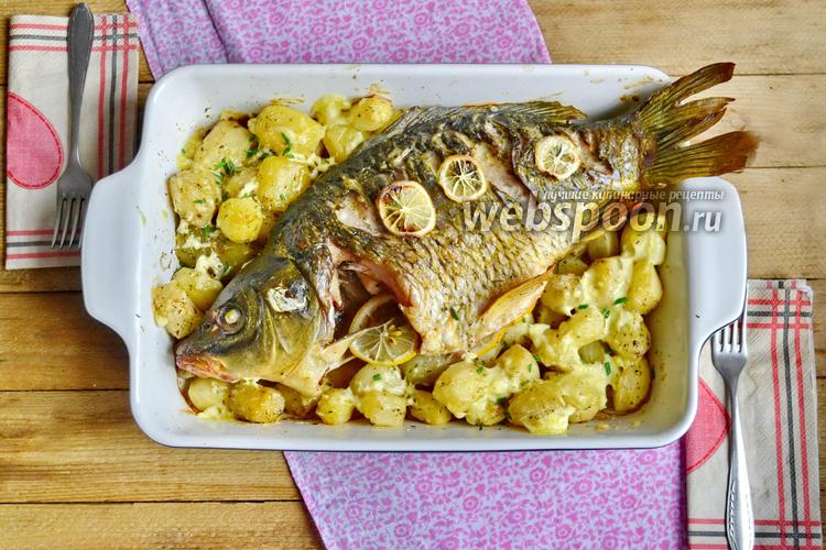 Как приготовить карпа в духовке с картошкой