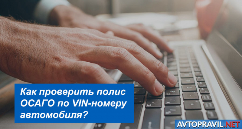 Как проверить наличие осаго по vin номеру автомобиля