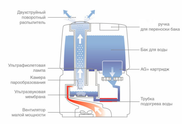 Как работает увлажнитель воздуха в комнате
