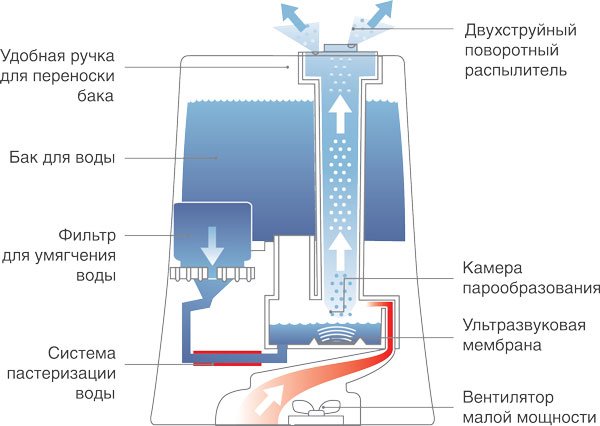Как работает увлажнитель воздуха в комнате