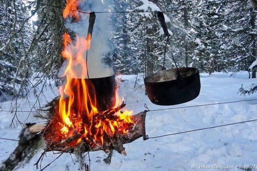 Как разжечь костёр в зимнем лесу
