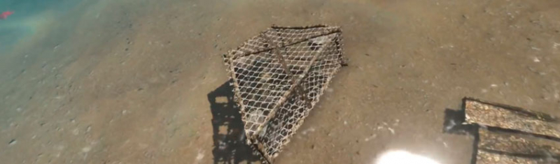 Как сделать ловушку для рыбы