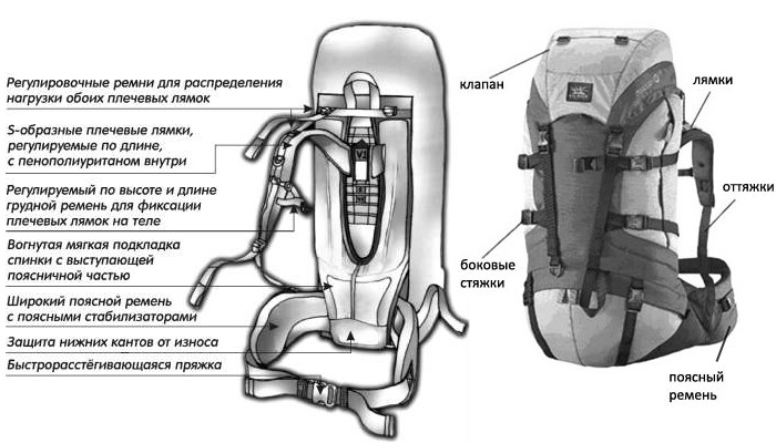 Как выбрать рюкзак для похода в лес и горы?