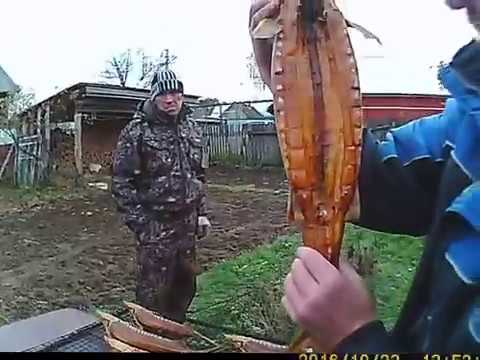 Как закоптить стерлядь