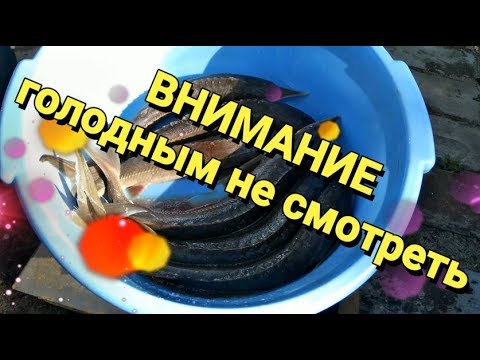 Как закоптить стерлядь