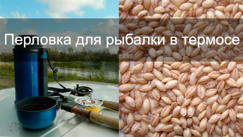 Как заварить перловку в термосе для рыбалки