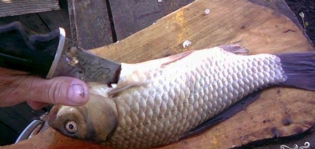 Как завялить карася