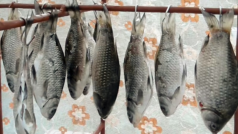 Как завялить карася