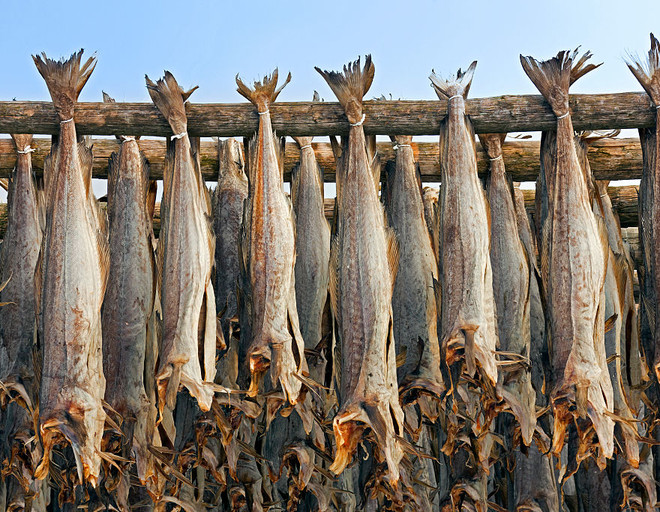 Как завялить леща