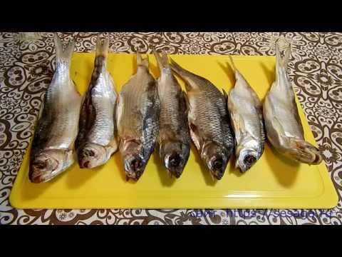 Как завялить окуня