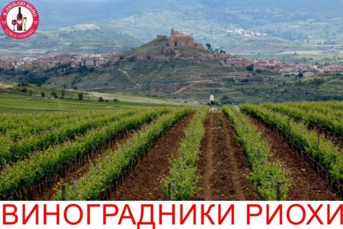 Классификация испанских вин Rioja (Риоха) и известные марки