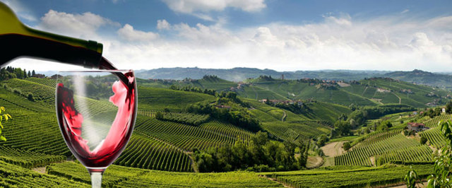 Король вин и вино королей Barolo (Бароло): гастрономические характеристики и отзывы покупателей