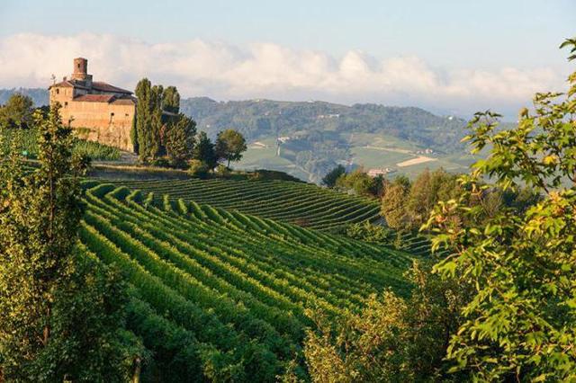Король вин и вино королей Barolo (Бароло): гастрономические характеристики и отзывы покупателей