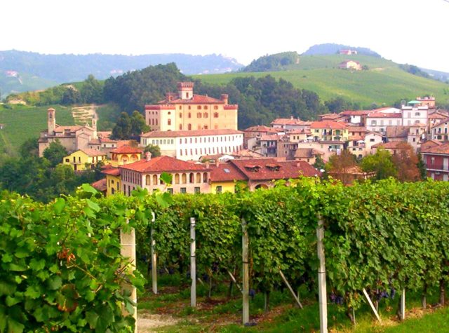 Король вин и вино королей Barolo (Бароло): гастрономические характеристики и отзывы покупателей