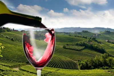 Король вин и вино королей Barolo (Бароло): гастрономические характеристики и отзывы покупателей