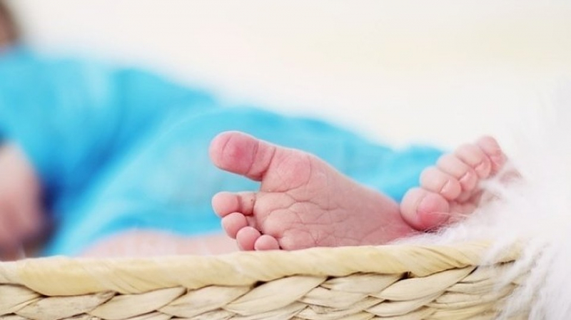 Корзина новорожденного 2019: как получить и что в нее входит