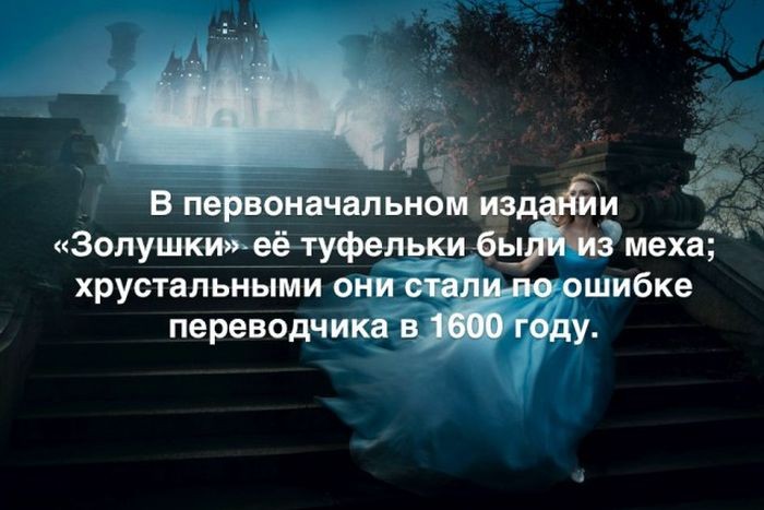 Краткие факты интересные факты