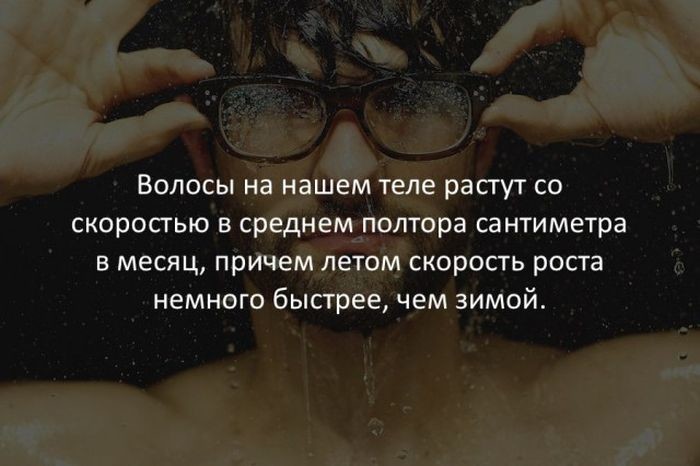 Краткие факты интересные факты