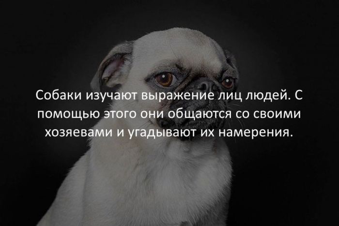 Краткие факты интересные факты