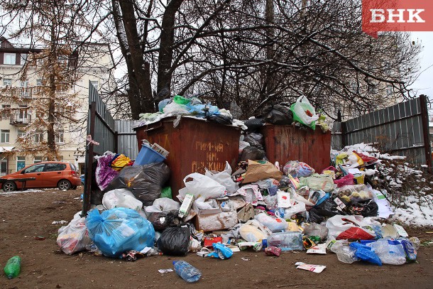 Куда убрать мусор в лесу: полезные лайфхаки