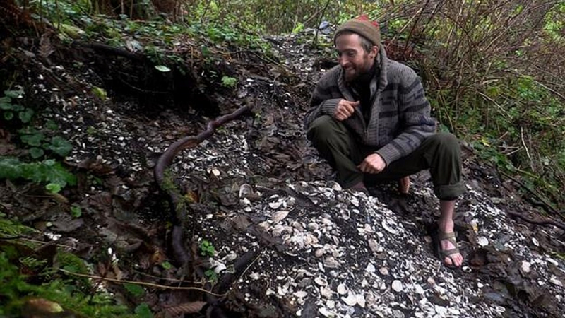 Куда убрать мусор в лесу: полезные лайфхаки