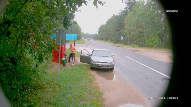 Куда убрать мусор в лесу: полезные лайфхаки