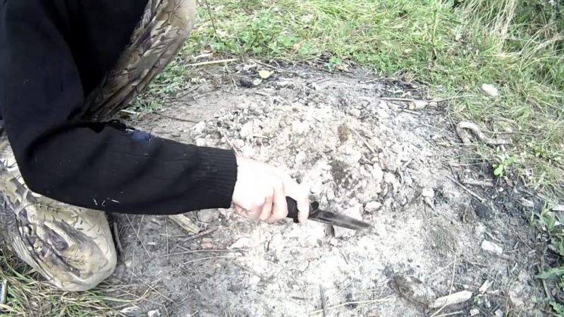 Куда убрать мусор в лесу: полезные лайфхаки