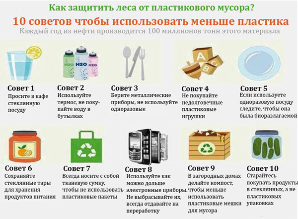 Куда убрать мусор в лесу: полезные лайфхаки