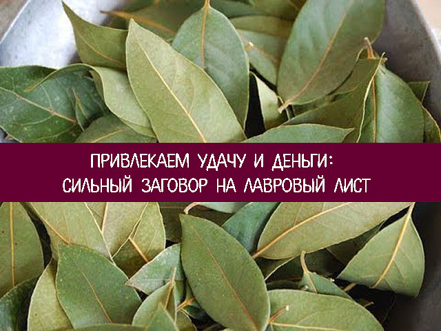 Лавровый лист от прыщей: рецепты для домашнего приготовления